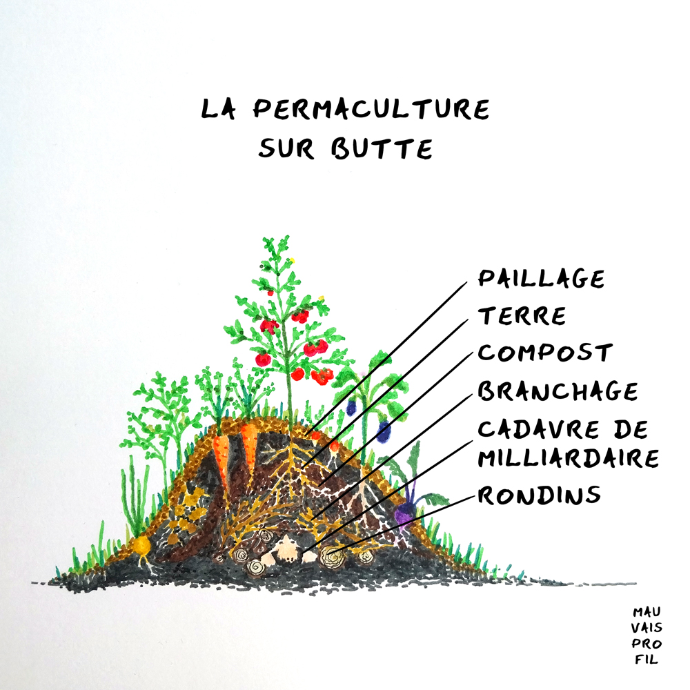 permaculture